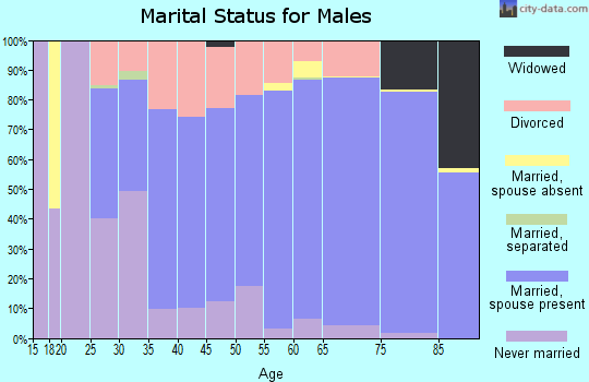 Zip code 53085 marital status for males