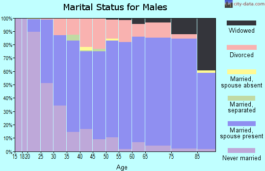 Zip code 53090 marital status for males
