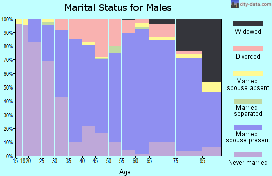 Zip code 53095 marital status for males