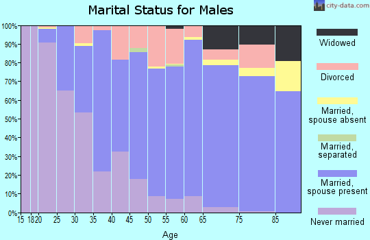 Zip code 53098 marital status for males