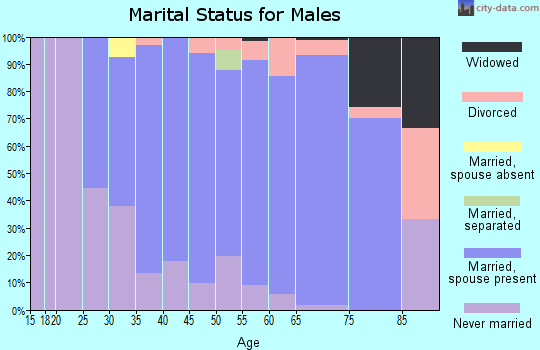 Zip code 53103 marital status for males