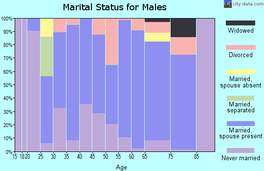 Zip code 53104 marital status for males
