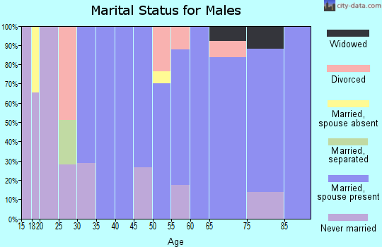 Zip code 53108 marital status for males