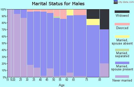 Zip code 53119 marital status for males
