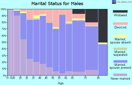 Zip code 53121 marital status for males
