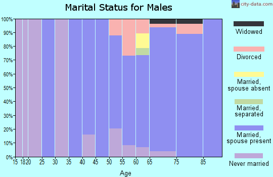 Zip code 53125 marital status for males