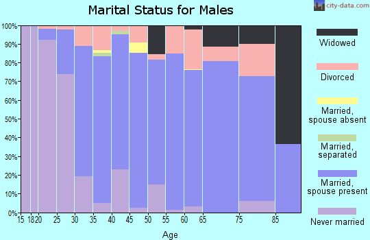 Zip code 53128 marital status for males