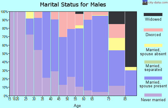 Zip code 53130 marital status for males