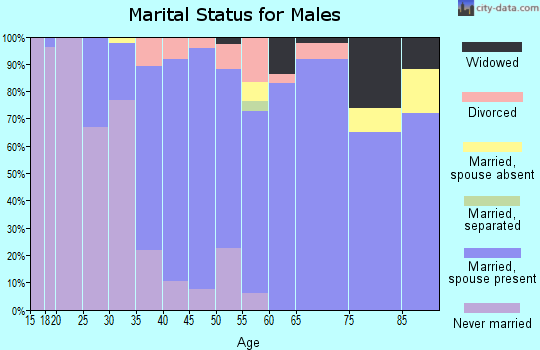 Zip code 53139 marital status for males
