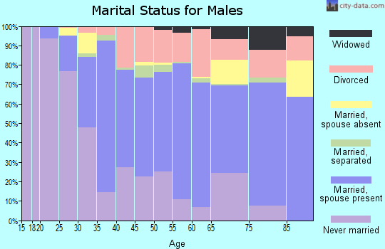 Zip code 53143 marital status for males