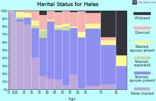 Zip code 53144 marital status for males