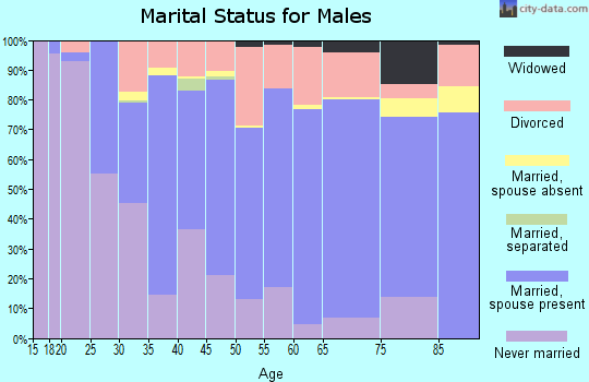 Zip code 53147 marital status for males