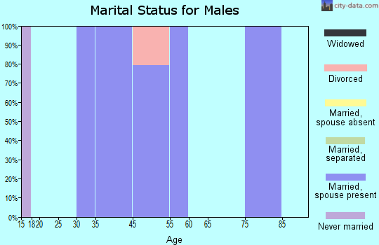 Zip code 53148 marital status for males