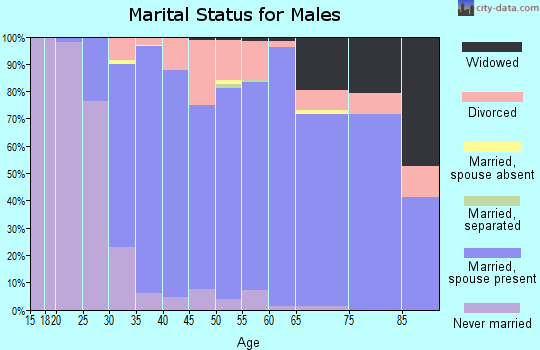 Zip code 53149 marital status for males