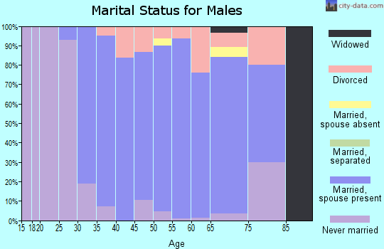 Zip code 53153 marital status for males