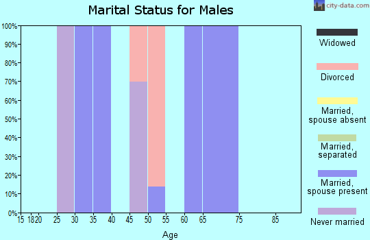 Zip code 53167 marital status for males