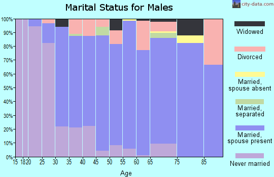 Zip code 53168 marital status for males