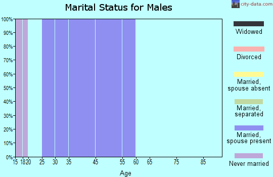 Zip code 53176 marital status for males