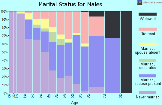 Zip code 53177 marital status for males