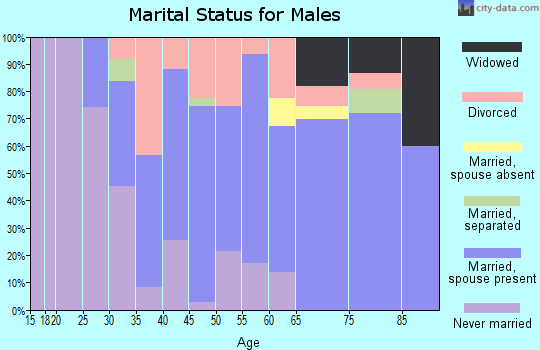 Zip code 53178 marital status for males