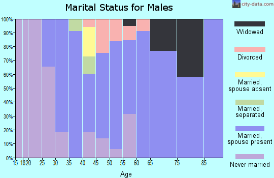 Zip code 53179 marital status for males