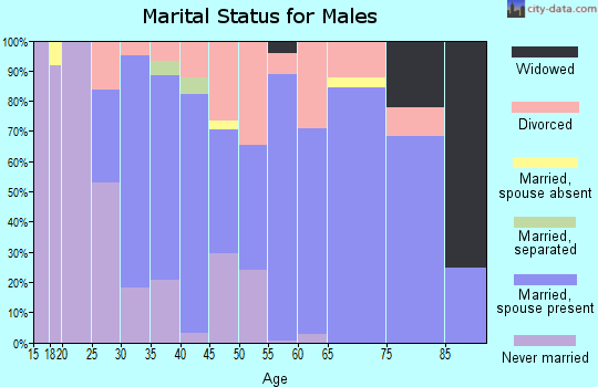 Zip code 53181 marital status for males