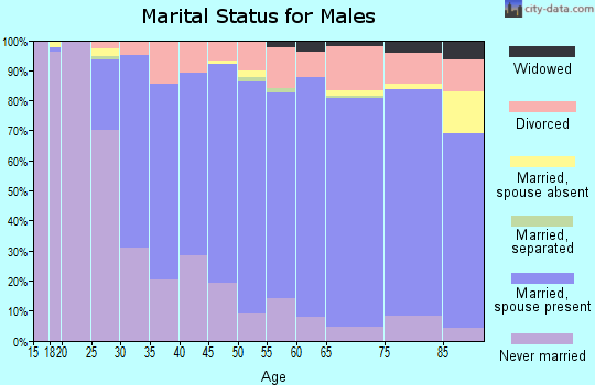 Zip code 53190 marital status for males
