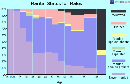 Zip code 53207 marital status for males