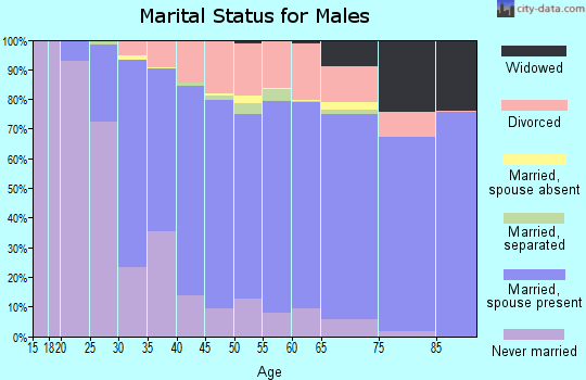 Zip code 53402 marital status for males