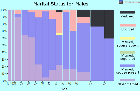 Zip code 53502 marital status for males