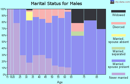 Zip code 53503 marital status for males
