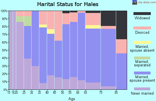 Zip code 53504 marital status for males