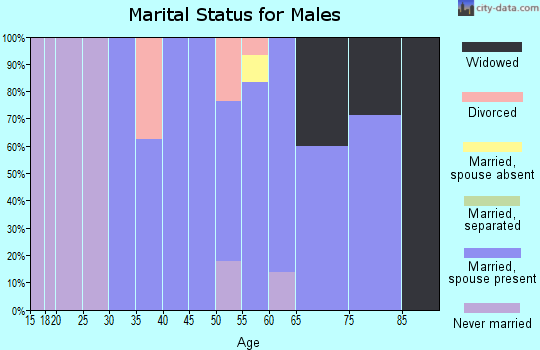 Zip code 53505 marital status for males
