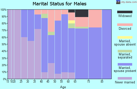 Zip code 53506 marital status for males