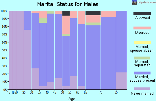 Zip code 53507 marital status for males