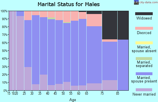 Zip code 53508 marital status for males