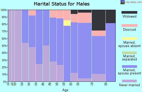Zip code 53510 marital status for males