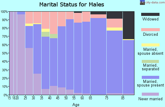 Zip code 53520 marital status for males