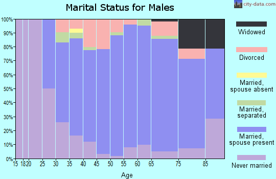 Zip code 53521 marital status for males