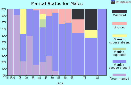 Zip code 53522 marital status for males