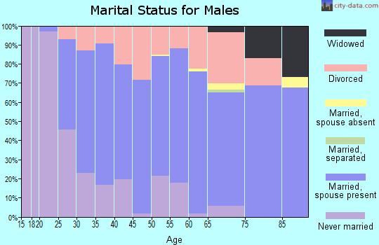 Zip code 53523 marital status for males