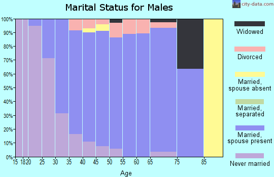 Zip code 53527 marital status for males