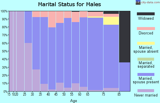 Zip code 53528 marital status for males