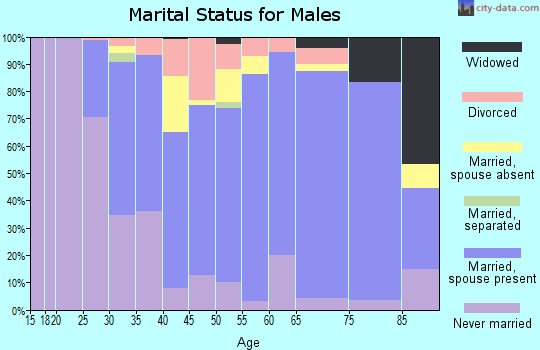Zip code 53530 marital status for males