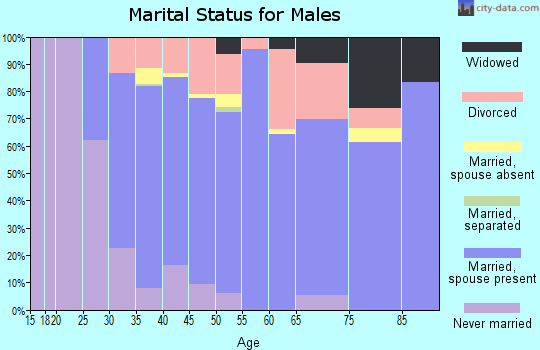 Zip code 53531 marital status for males