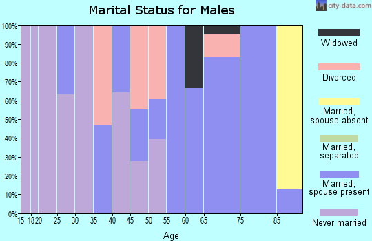 Zip code 53537 marital status for males