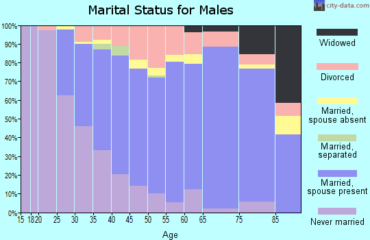 Zip code 53538 marital status for males