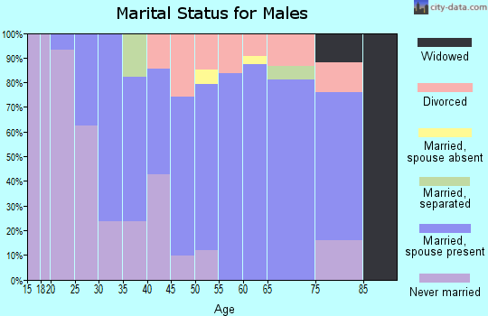 Zip code 53541 marital status for males