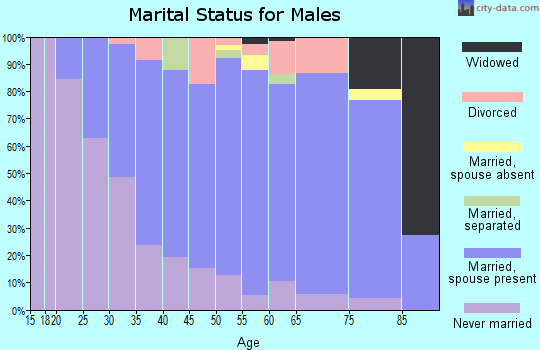 Zip code 53543 marital status for males