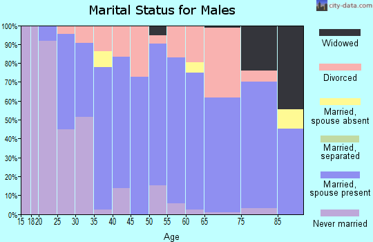 Zip code 53551 marital status for males